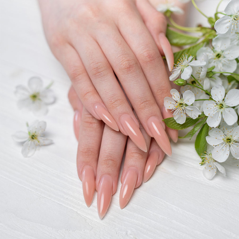 Top City Nails & Spa